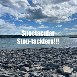 Team Page: Spectacular Step-tacklers